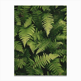 Pattern Poster Giant Chain Fern 3 Canvas Print