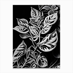 Marjoram Leaf Linocut 3 Canvas Print