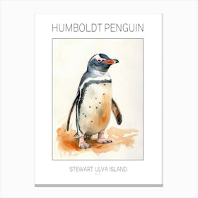 Humboldt Penguin Stewart Island Ulva Island Watercolour Painting 1 Poster Canvas Print