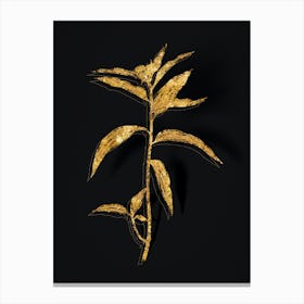 Vintage Dayflower Botanical in Gold on Black n.0312 Canvas Print