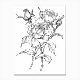 Black And White Rose Line Drawing 2 Canvas Print