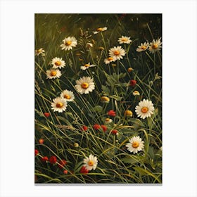 Daisies In The Meadow 8 Canvas Print