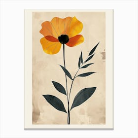 Namaqualand Daisy Groovy 1 Canvas Print