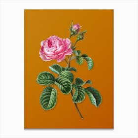 Vintage Provence Rose Botanical on Sunset Orange n.0680 Canvas Print