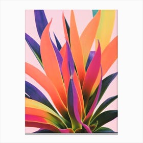 Aloe Vera 2 Colourful Illustration Plant Canvas Print