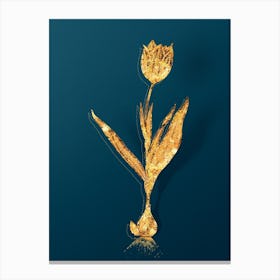 Vintage Tulip Botanical in Gold on Teal Blue n.0136 Canvas Print