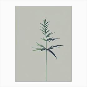 Mugwort Herb Simplicity 2 Canvas Print