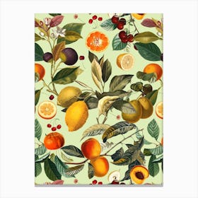 Vintage Fruit Pattern 13 Canvas Print
