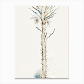 Silver Torch Joshua Tree Minimilist Watercolour  (4) Canvas Print