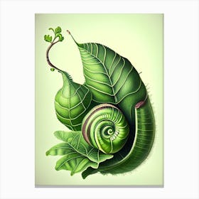 Snail With Green Background 1 Botanical Canvas Print