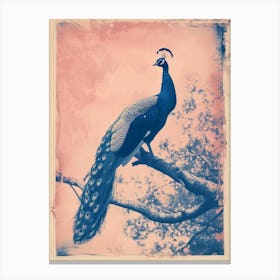 Peacock In The Tree Cyanotype Inspired 7 Canvas Print