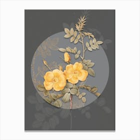 Vintage Botanical Yellow Sweetbriar Roses on Circle Gray on Gray n.0137 Canvas Print