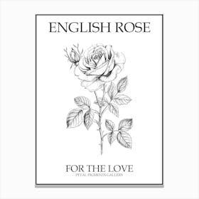 English Rose Black And White Line Drawing 25 Poster Canvas Print