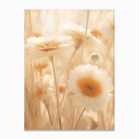 Boho Dried Flowers Gerbera Daisy 3 Canvas Print