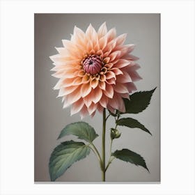 Dahlia 3 Canvas Print