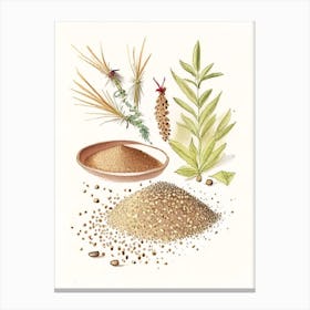 Sesame Seeds Spices And Herbs Pencil Illustration 3 Canvas Print