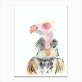 Vulture bird Canvas Print
