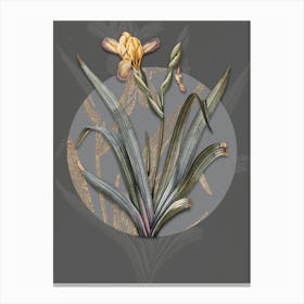Vintage Botanical Hungarian Iris on Circle Gray on Gray n.0113 Canvas Print