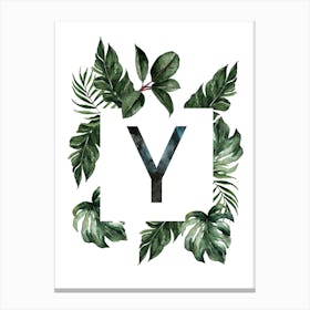 Botanical Alphabet Y Canvas Print