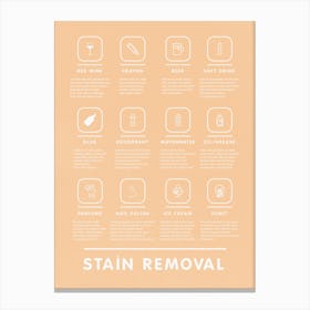 Stain Removal Instruction With Mid Century Modern Style Laundry And Stylish   Canvas Print