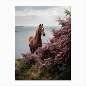 Horse On The Beach Canvas Print