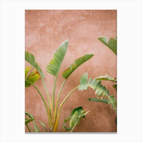 Palms Of Ourika Morocco Canvas Print