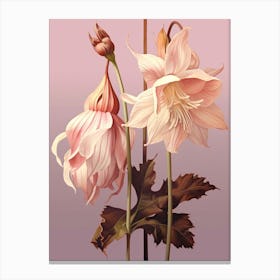 Floral Illustration Columbine 1 Canvas Print