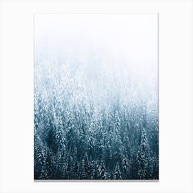 Moody Forest In The Fog Canvas Print