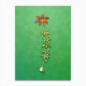 Vintage Wood Lily Botanical Art on Classic Green n.0450 Canvas Print
