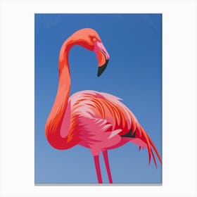 Greater Flamingo Walvis Bay Erongo Namibia Tropical Illustration 4 Canvas Print