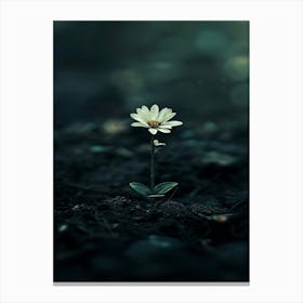 Flower In The Dark 26 Canvas Print