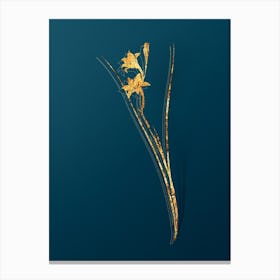 Vintage Gladiolus Botanical in Gold on Teal Blue n.0011 Canvas Print
