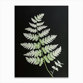 Pattern Poster Silver Lace Fern 3 Canvas Print