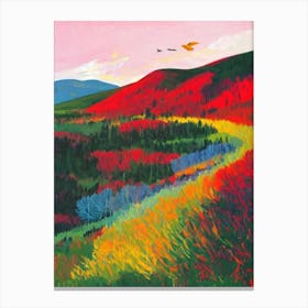 Abisko National Park Sweden Abstract Colourful Canvas Print