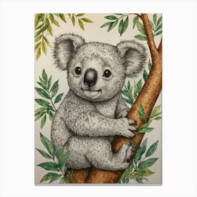 Koala 21 Canvas Print