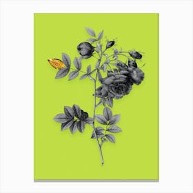 Vintage Turnip Roses Black and White Gold Leaf Floral Art on Chartreuse n.0329 Canvas Print