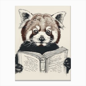 Red Panda Reading Ink Illustration 2 Canvas Print