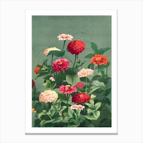 Zinnias 2 Canvas Print