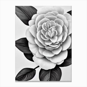 Camellia B&W Pencil 3 Flower Canvas Print