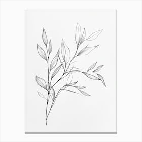 Pencil Drawing Of A Leaf Canvas Print