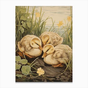 Ducklings Staying Warm Together Japanese Woodblock Style 2 Canvas Print