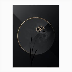 Shadowy Vintage Galaxia Ixiaeflora Botanical in Black and Gold n.0031 Canvas Print