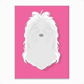 Shih Tzu Canvas Print