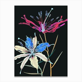 Neon Flowers On Black Love In A Mist Nigella 3 Canvas Print