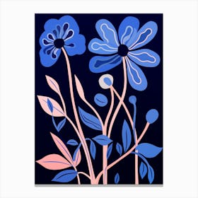 Blue Flower Illustration Kangaroo Paw 1 Canvas Print