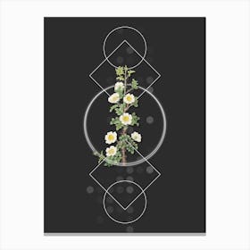 Vintage Scotch Rose Bloom Botanical with Geometric Line Motif and Dot Pattern n.0089 Canvas Print