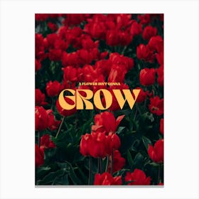 Grow red flower Canvas Print