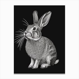 English Silver Blockprint Rabbit Illustration 2 Canvas Print