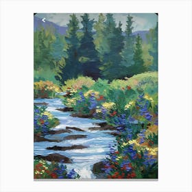 Stream In The Forest 1 Canvas Print