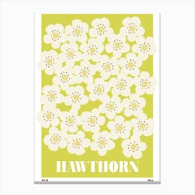 May Birth Month Flower Canvas Print